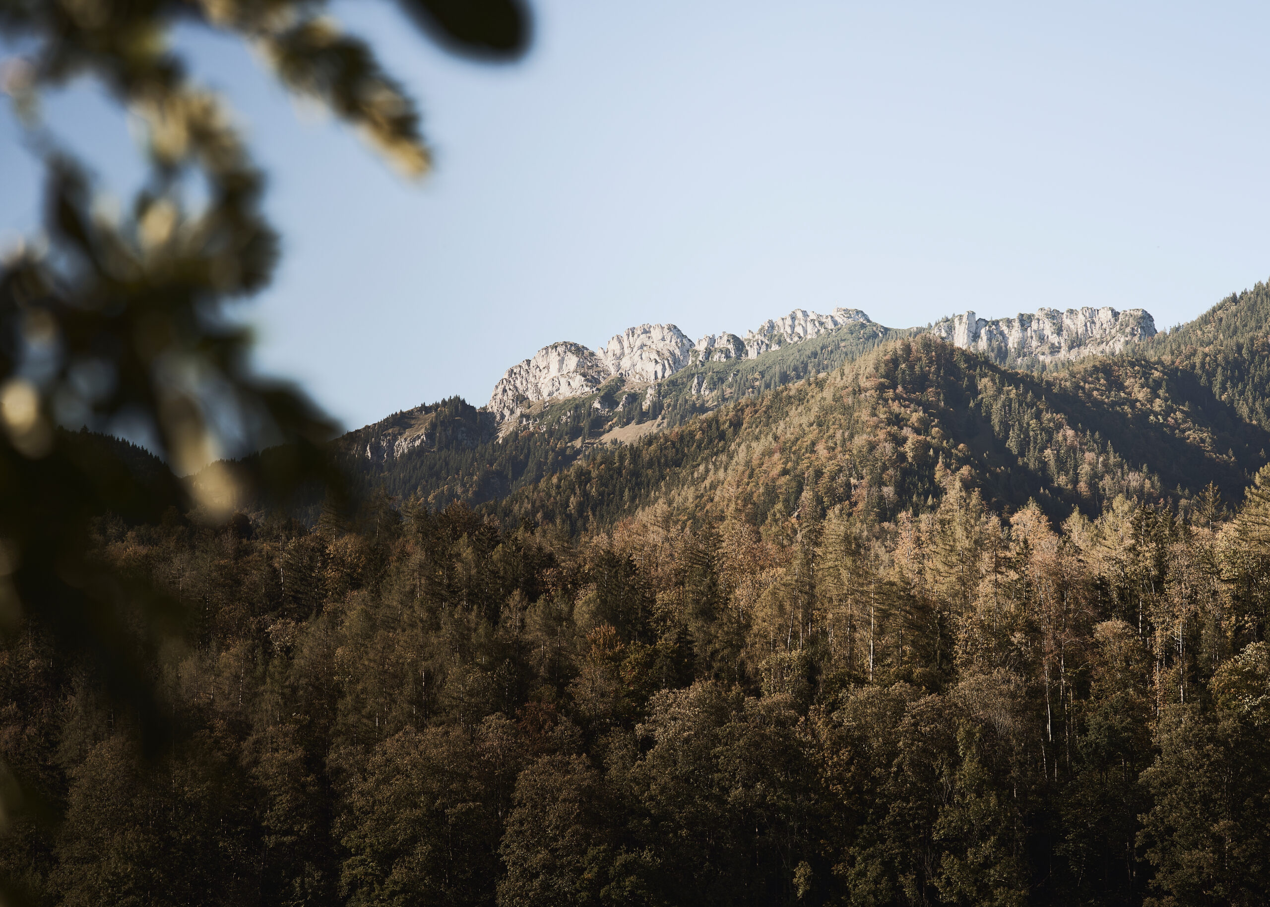 Wandern im Chiemgau ist so vielfältig und im Herbst besonders schön