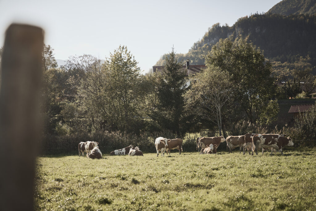 Wandern im Chiemgau: Schleching und Raiten sind Geheimtipps