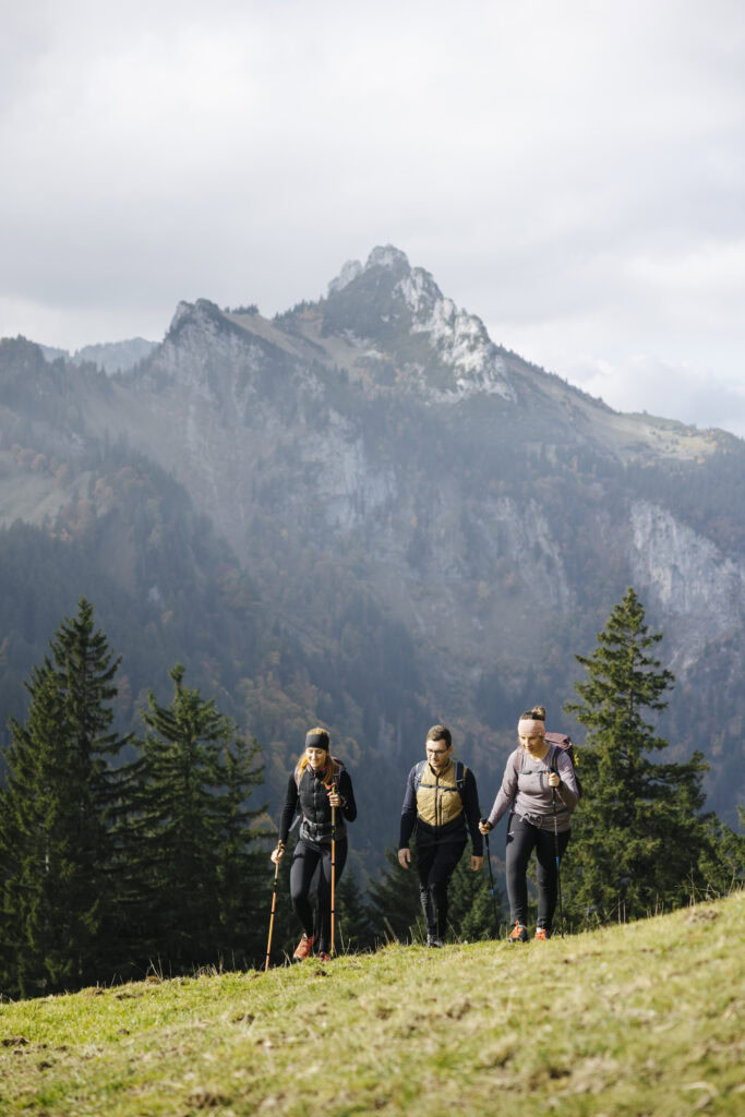 Eine Gruppe wandert an schönen Orten beim Chiemsee