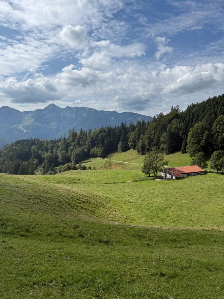 Ausblick zu Almen in der Nähe des Raitner Wirts